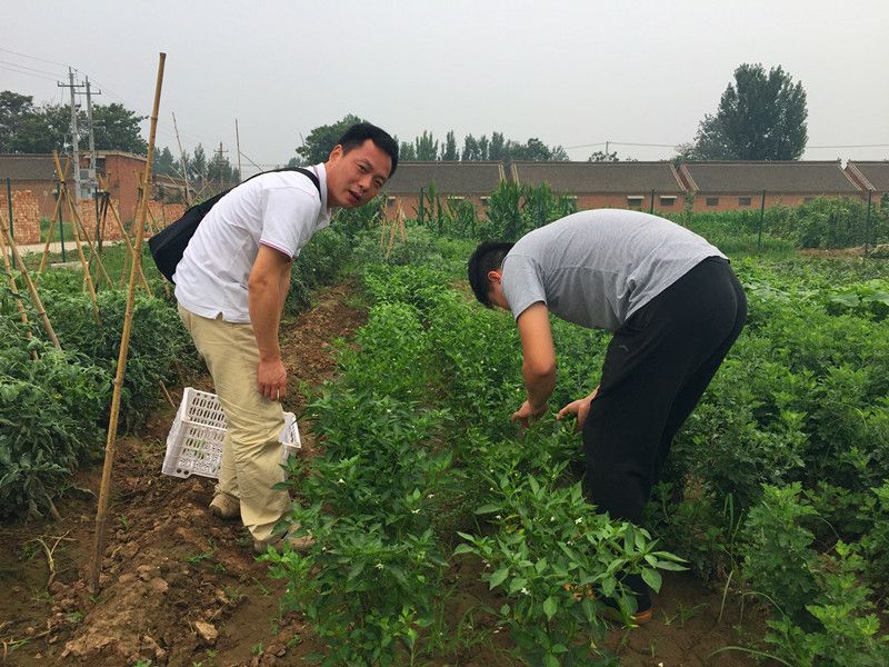 好利來郭總喊您來摘菜啦！綠色無公害，放心！