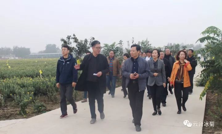 云臺冰菊基地發(fā)生了什么？一批批領導專家團隊前來！